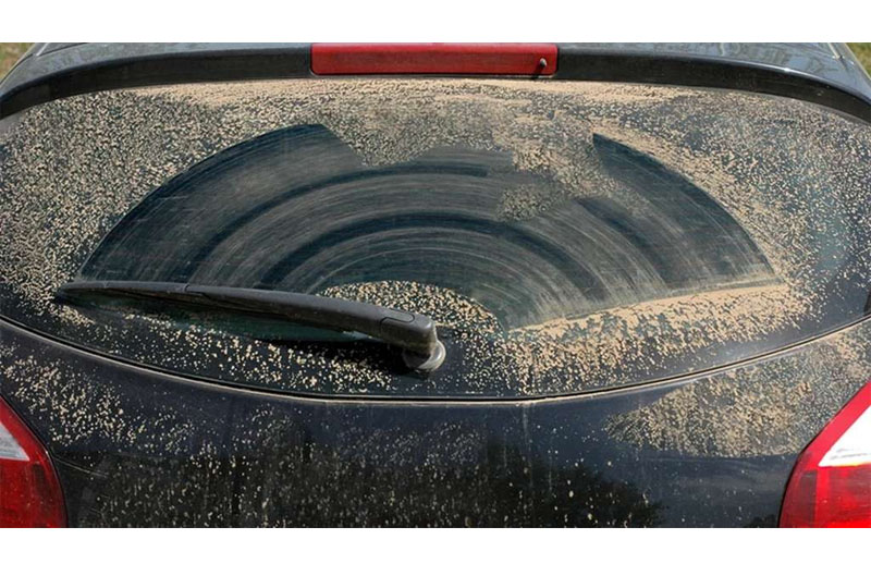 afrikaniki skoni auto