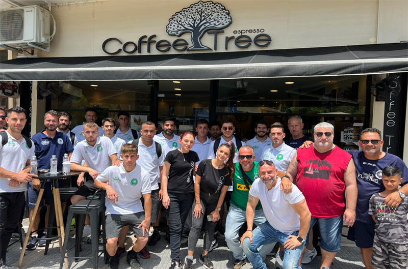 coffee tree omadiki1