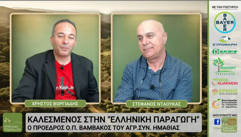 ntaoukas