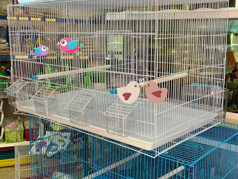 pet shop elena6