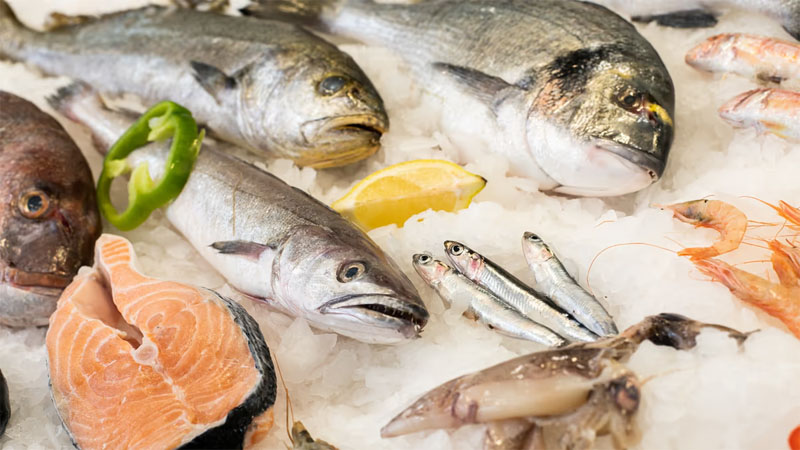 psaradiko tsolakidis2