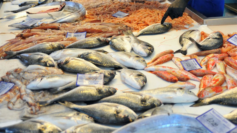 psaradiko tsolakidis3