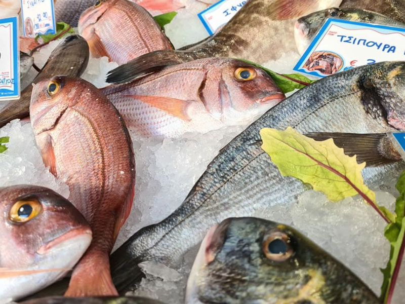 psaradiko tsolakidis6