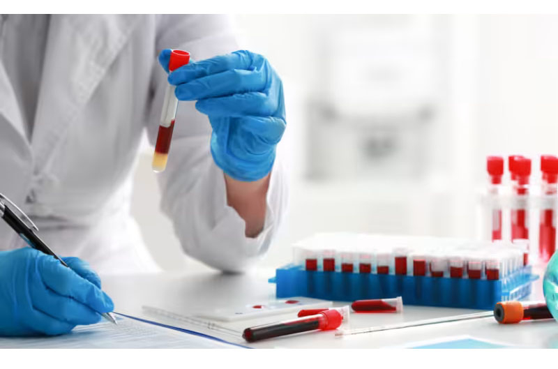 &Rho;&alpha;&pi;&tau;ά&kappa;&eta; &Phi;&iota;&lambda;ί&tau;&sigma;&alpha; - &Pi;&lambda;&alpha;&tau;ύ