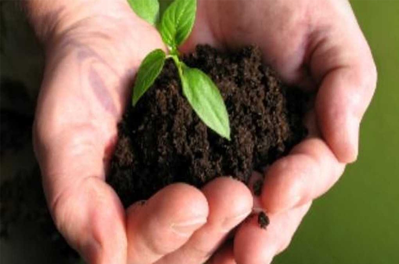 &Sigma;&tau;&rho;ά&kappa;&alpha;&sigmaf; &Kappa;&omega;&nu;&sigma;&tau;&alpha;&nu;&tau;ί&nu;&omicron;&sigmaf;