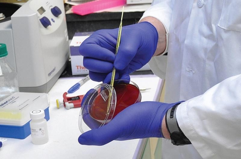 &Rho;&alpha;&pi;&tau;ά&kappa;&eta; &Phi;&iota;&lambda;ί&tau;&sigma;&alpha;