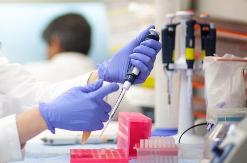 &Pi;&alpha;&sigma;&chi;ώ&nu;&eta; &Phi;&lambda;ώ&rho;&alpha;