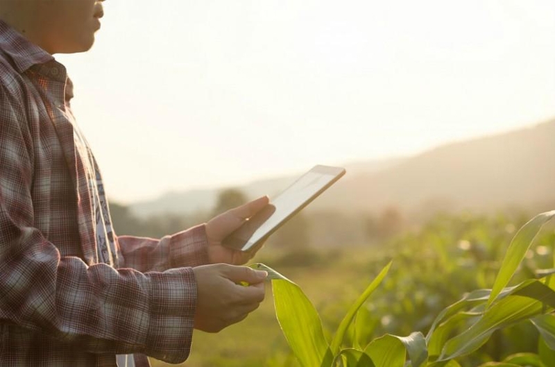 &Kappa;. &Pi;&alpha;&pi;&alpha;ϊ&omega;ά&nu;&nu;&omicron;&upsilon; &amp; &Sigma;&iota;&alpha; &Omicron;.&Epsilon;.