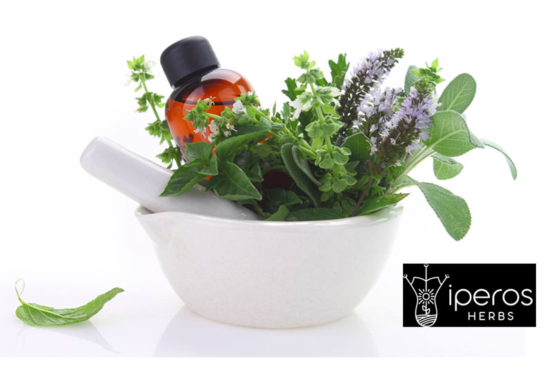 Iperos - &Beta;ό&tau;&alpha;&nu;&alpha;