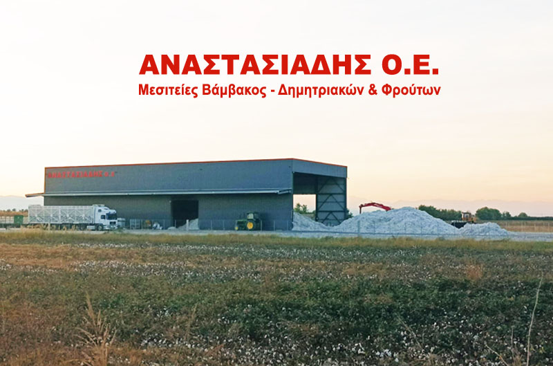 &Alpha;&nu;&alpha;&sigma;&tau;&alpha;&sigma;&iota;ά&delta;&eta;&sigmaf; - &Mu;&epsilon;&sigma;&iota;&tau;&epsilon;ί&epsilon;&sigmaf; &Beta;ά&mu;&beta;&alpha;&kappa;&omicron;&sigmaf; &amp; &Delta;&eta;&mu;&eta;&tau;&rho;&iota;&alpha;&kappa;ώ&nu;