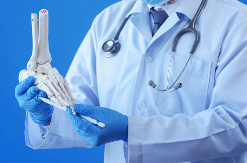 &Gamma;&iota;&alpha;&nu;&nu;έ&kappa;&alpha;&sigmaf; &Delta;&eta;&mu;ή&tau;&rho;&iota;&omicron;&sigmaf;